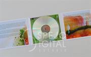 CD en Digipack 3 1 (16)