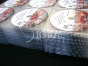 DVD5 en funda PVC (4)