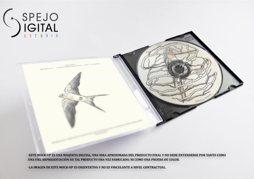 2c47a133fc57416176d1baf9a5a700d5